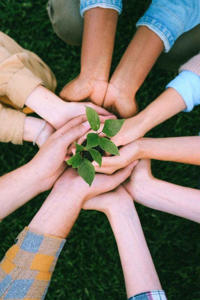 green-plant-on-people-s-hands-5029919 Hands united around a plant symbolizing teamwork and eco-friendly efforts outdoors.