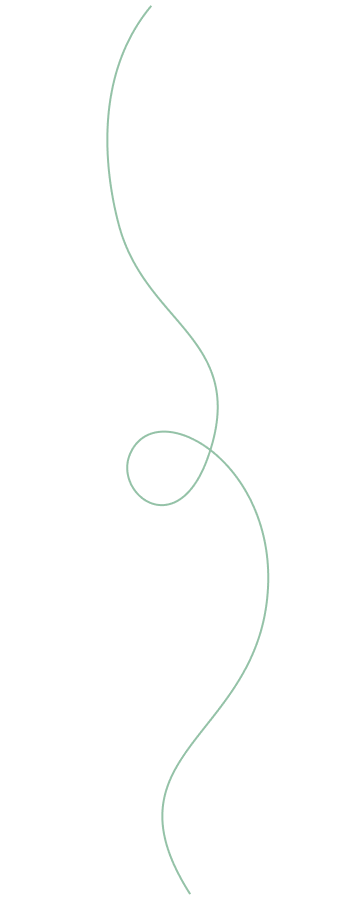 shape 2.png